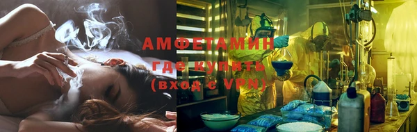 прущие грибы Алексин