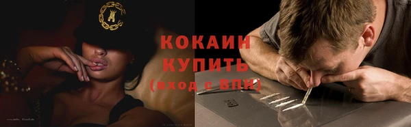прущий лед Алзамай