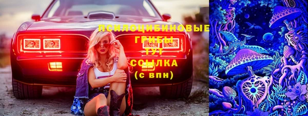 spice Абинск