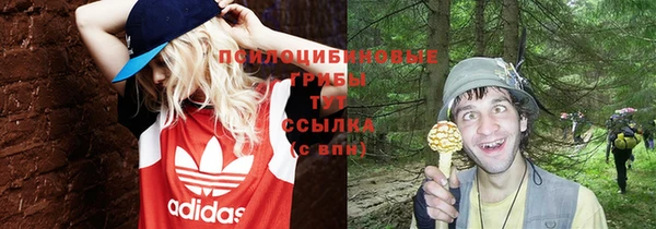 крисы Болотное