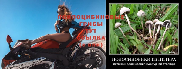 прущий лед Алзамай